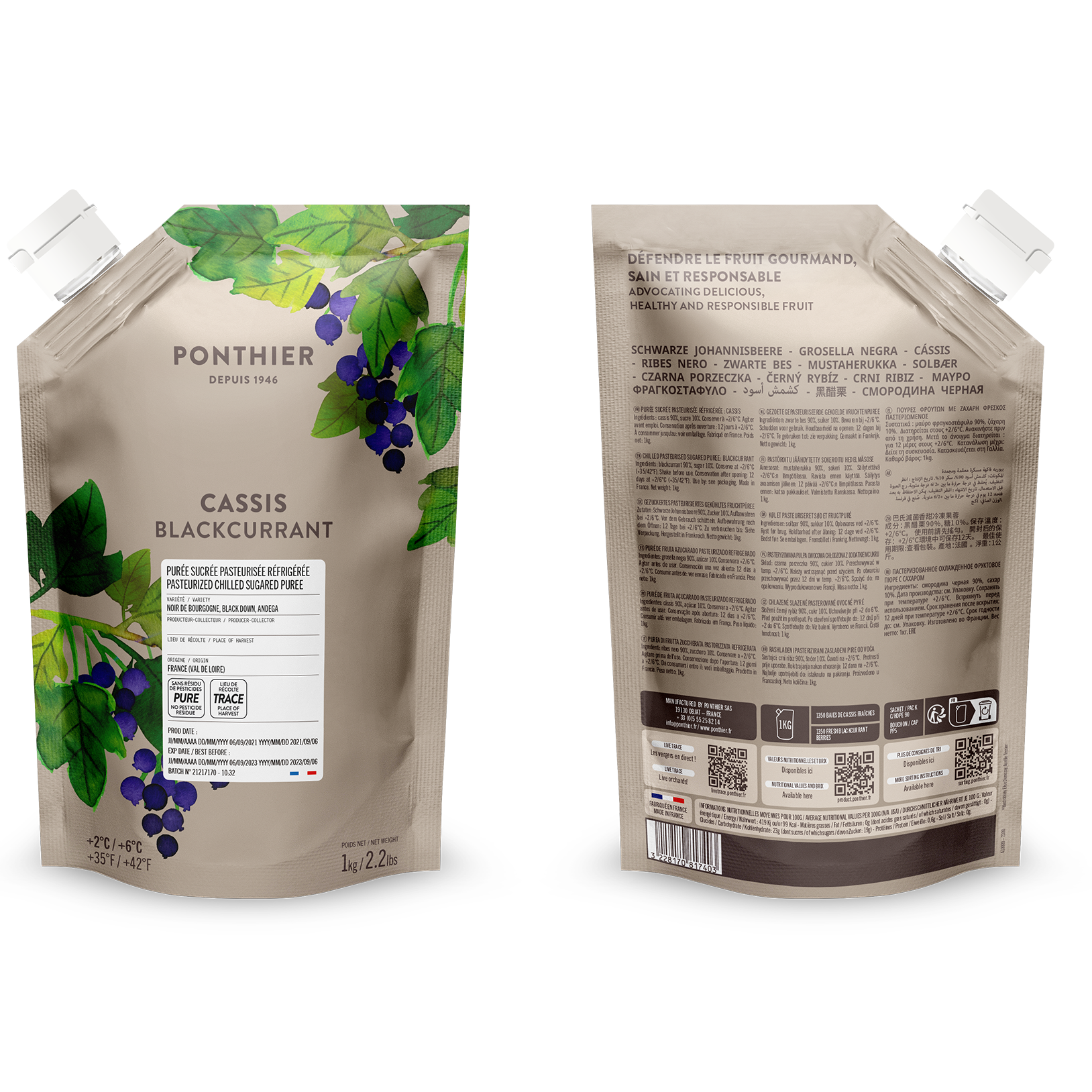 Purée de cassis - 1kg
