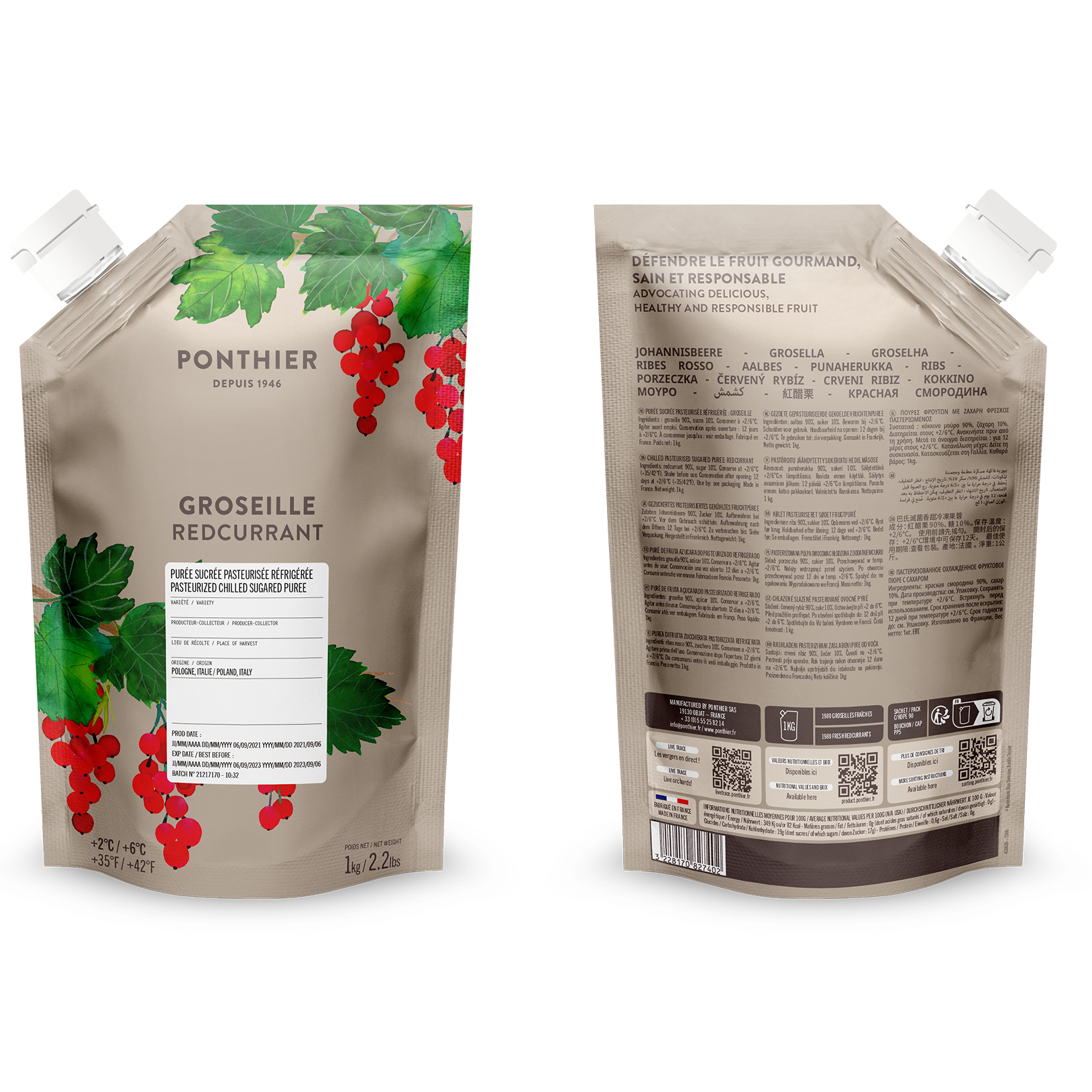 Purée de groseille - 1kg