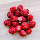 Fraises lyophilisées entières - 50g