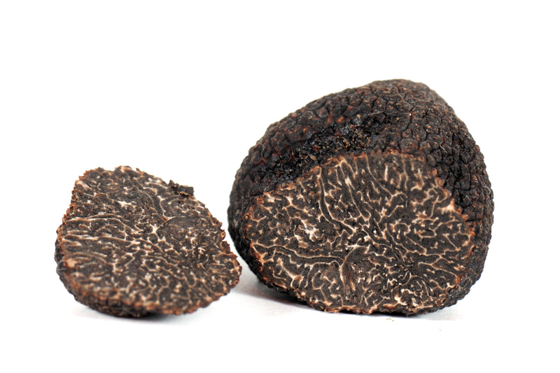Truffes fraîches noires Melanosporum Extra