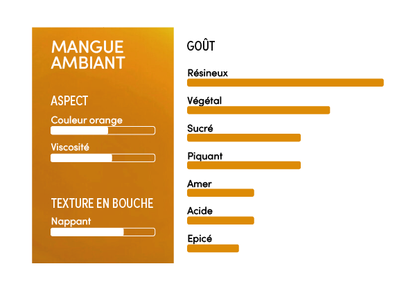 Purée de mangue ambiante - 1l