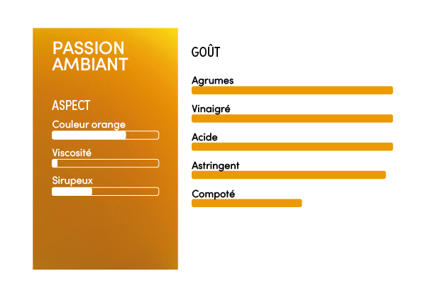 Purée de passion ambiante - 1l