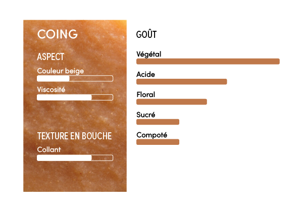 Purée de coing 100% - 1kg