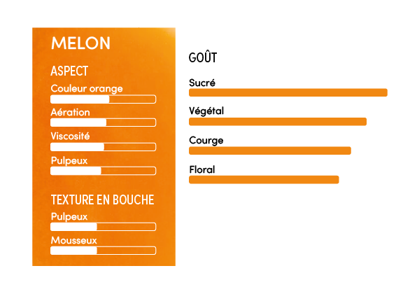 Purée de melon 100% - 1kg