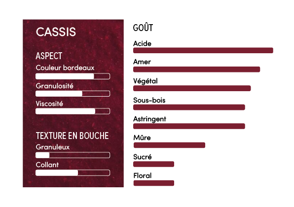 Purée de cassis 100% - 1kg