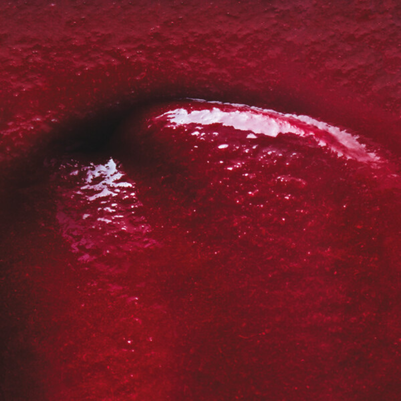 Puree Cherry - 1Kg