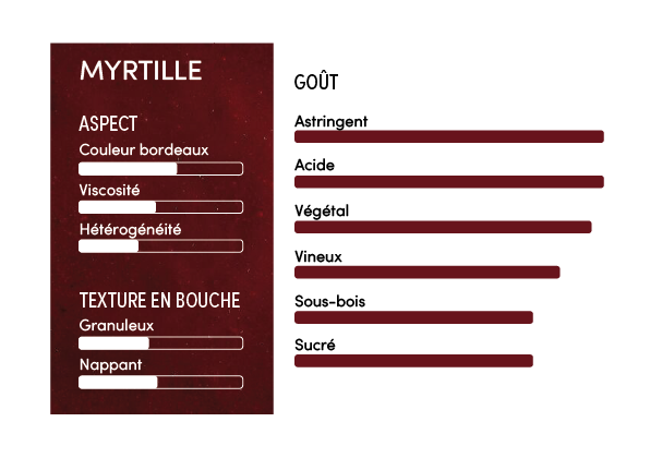 Purée de myrtille 100% - 1kg
