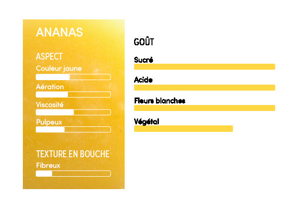 Purée d'ananas 100% - 1kg