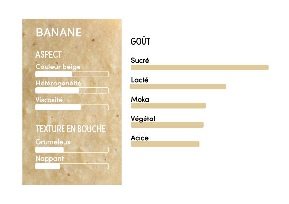 Purée de banane - 1kg