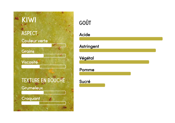 Purée de kiwi 100% - 1kg