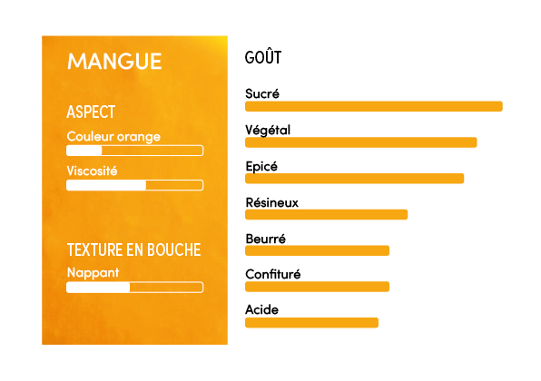 Purée de mangue 100% - 1kg