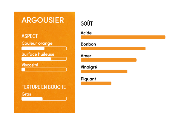 Purée d'argousier 100% - 1kg