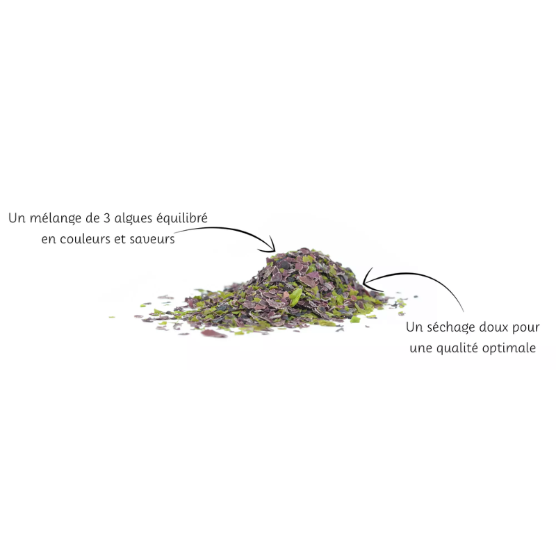 Mélange d'algues 3 saveurs - 100g