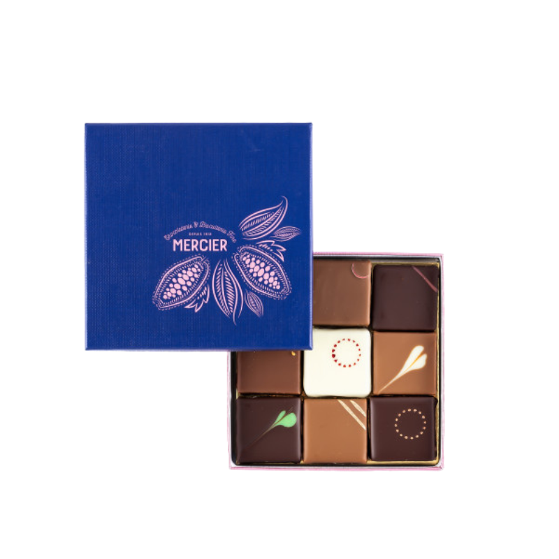 Écrin de 9 chocolats assortis - Praliné et ganache - 80g
