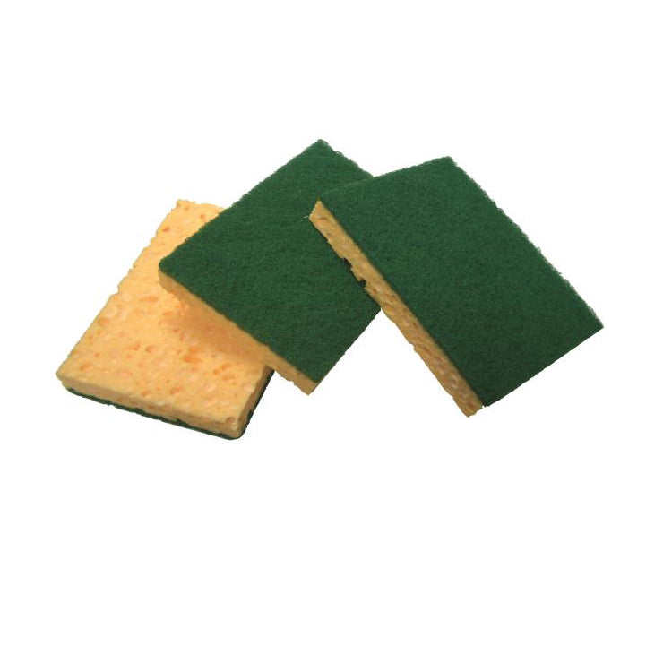 Tampon vert sur eponge - petit pack x 10