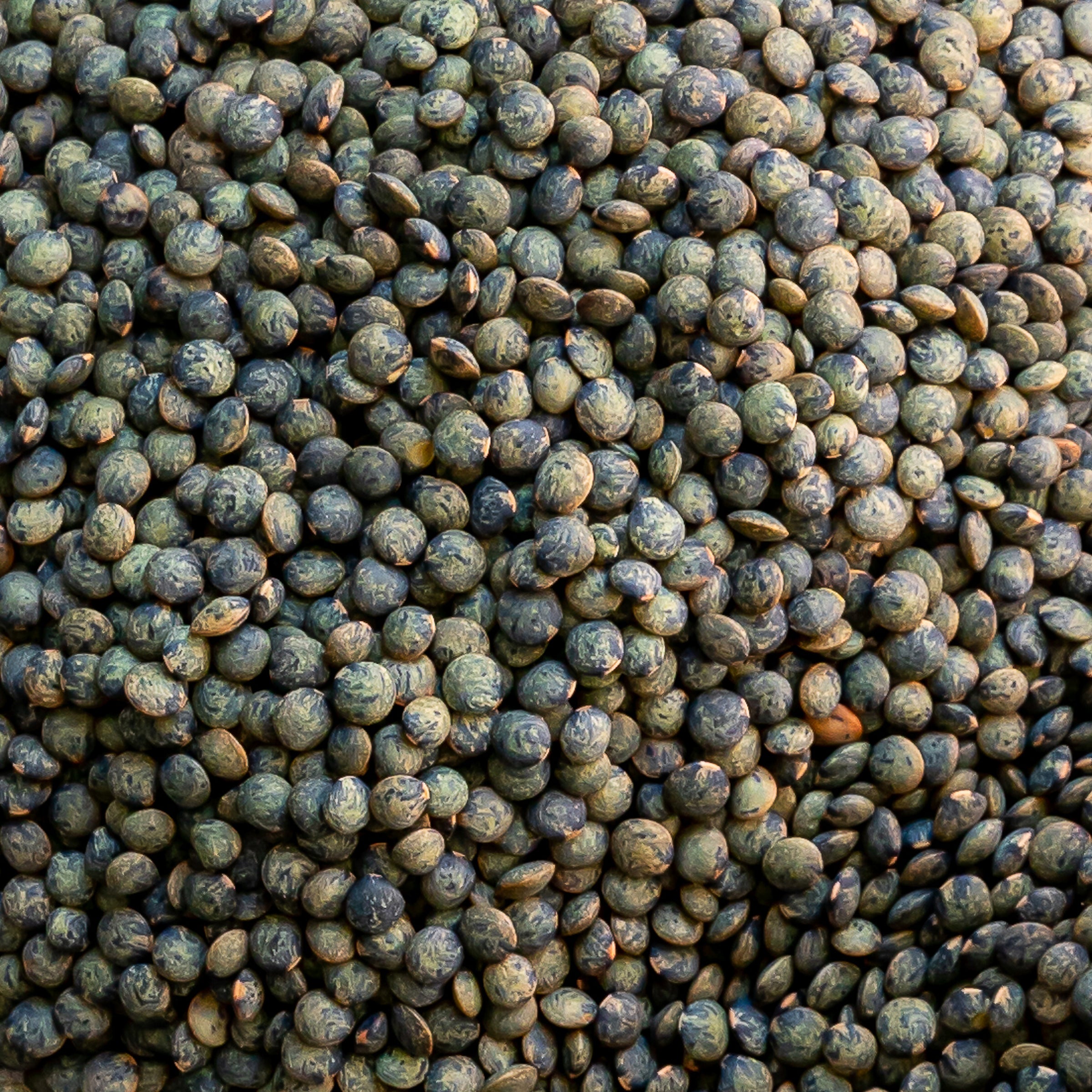 Lentille Verte De Beauce - 1Kg