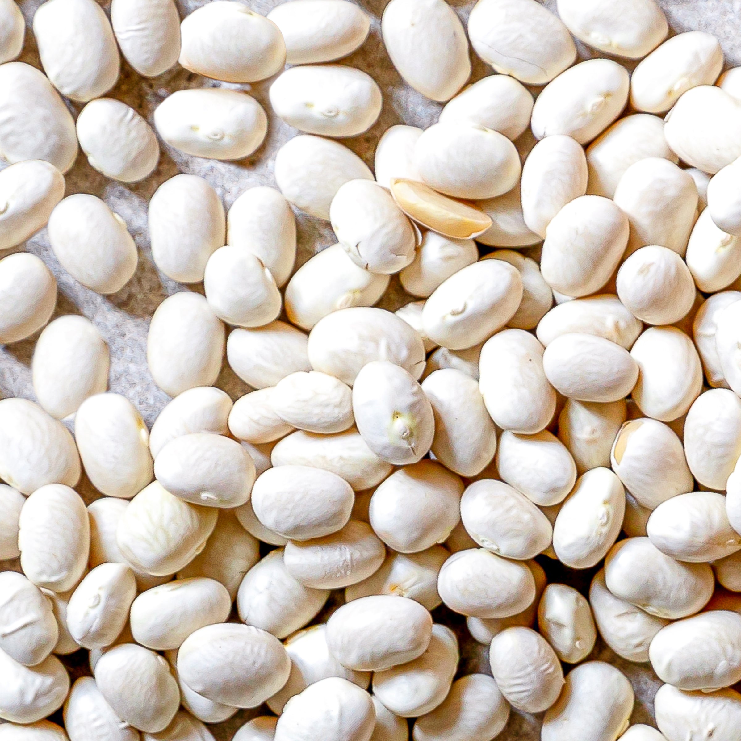 Haricot coco de Beauce - 1kg