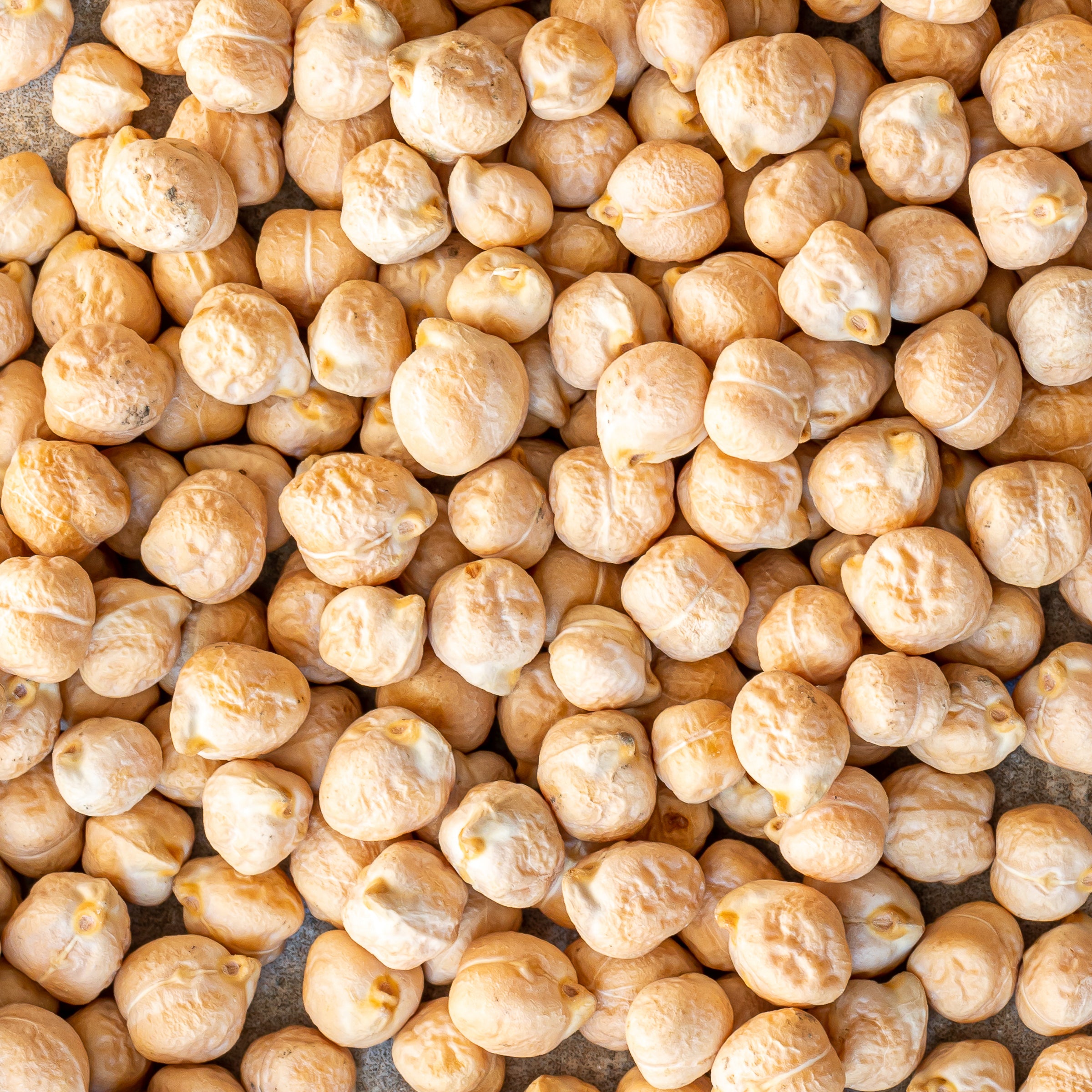 Pois Chiche De Beauce - 1Kg