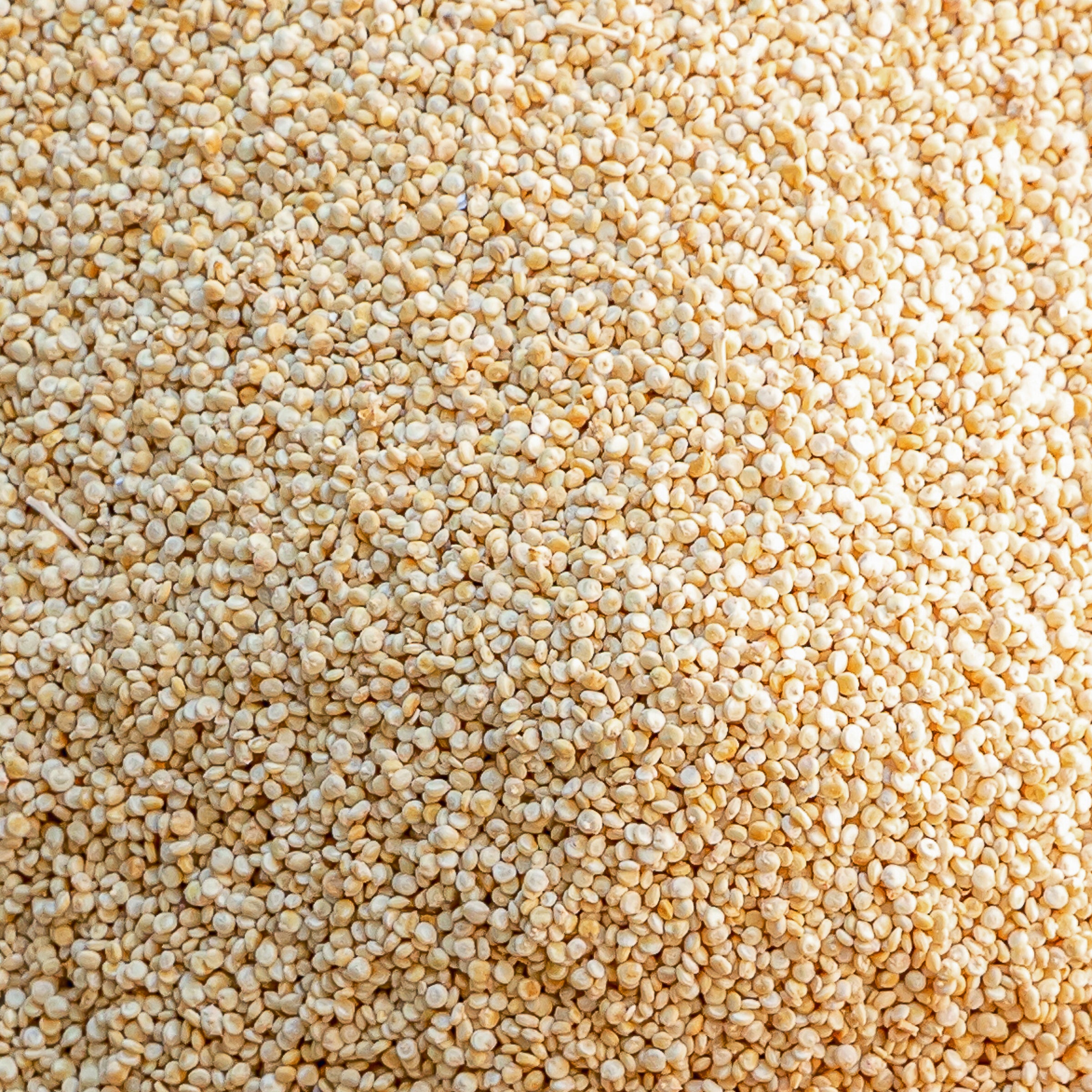Quinoa De Beauce - 1Kg