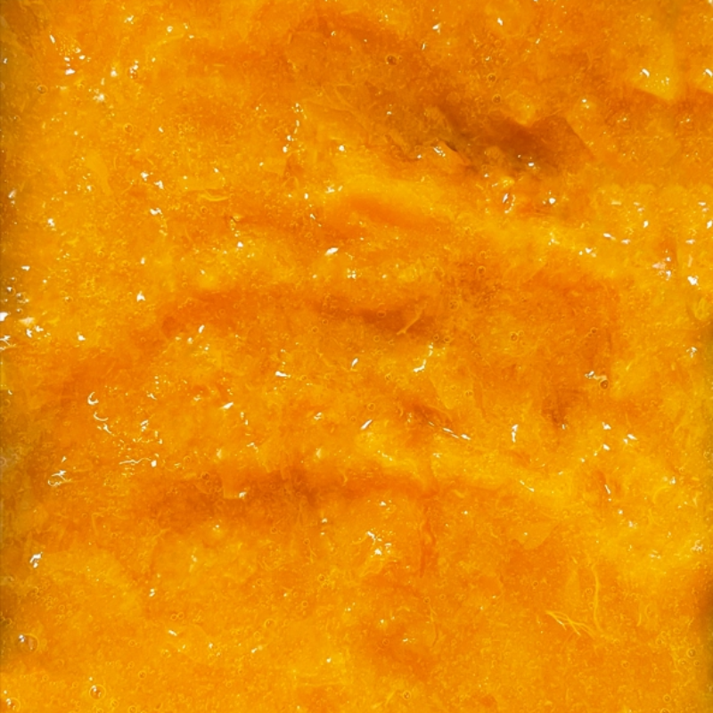 Compotée surgelée d'abricot Bergeron - 1kg