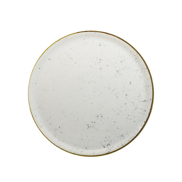 Assiette plate - Porcelaine ø 28x2,5 cm - Stains ( E37325 ) (6 X 1 unité )