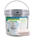 Pastilles vaisselle tout en 1 - Seau 2,4 kg ( E31984 ) (1 X 1 unité )