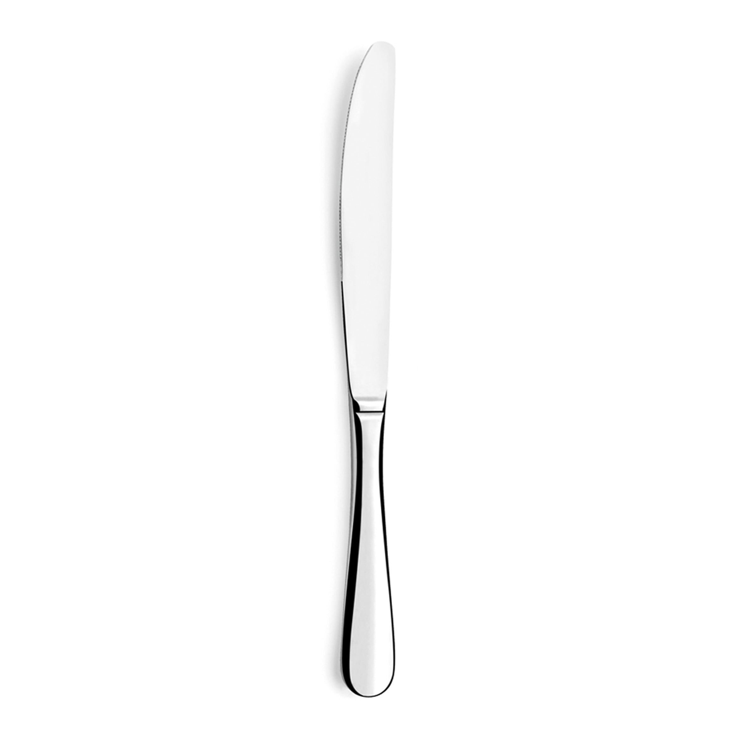 Couteau de table manche rond - Baguette ( A16065 ) (1 X 12 unités )