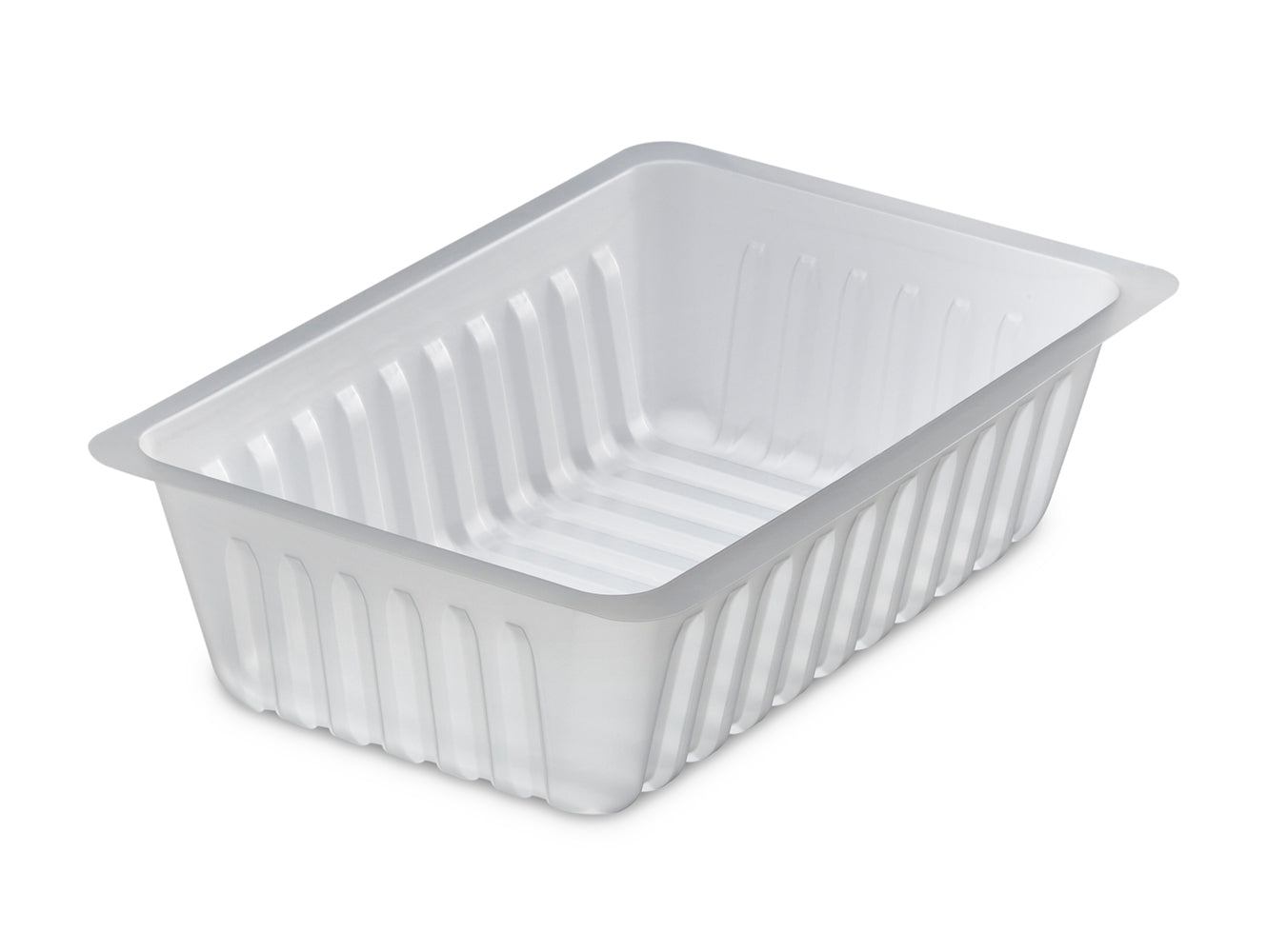 Barquette charcutière 750 g - 17,6x11,6x4,9 cm ( 999944 ) (5 X 250 unités )