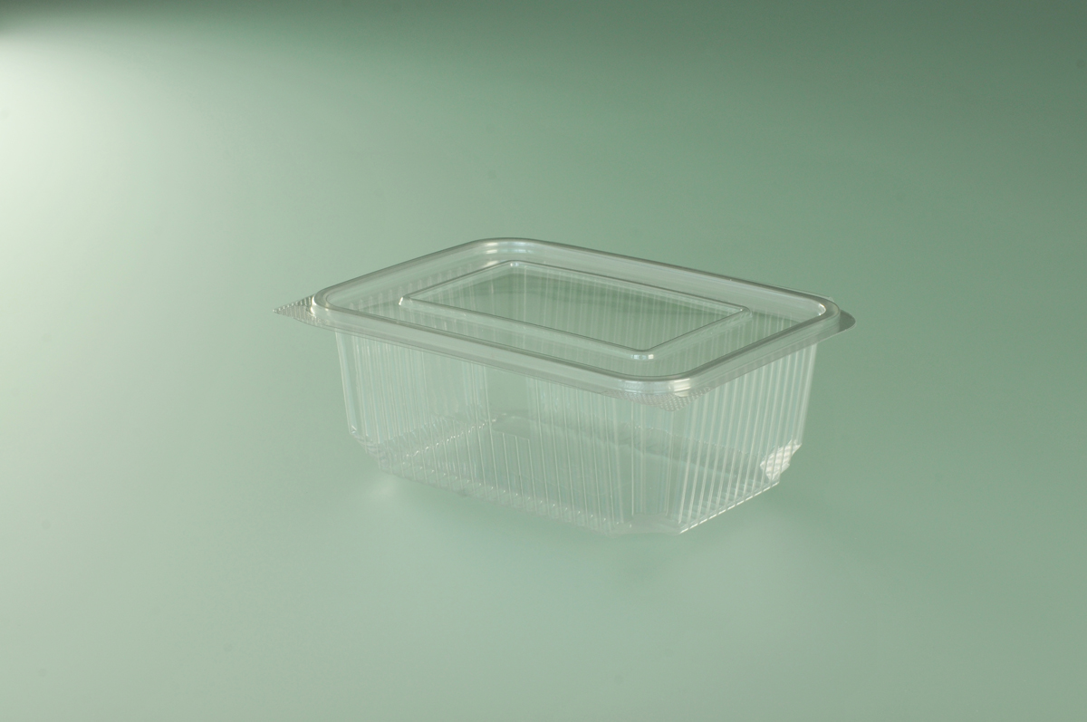 Barquette avec couvercle charnière - 19,14,8x7 cm  ( 948799 ) (8 X 50 unités )