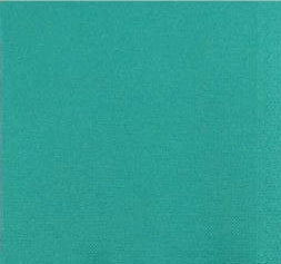 Bagasse couvercle PET pour bol 800,900,1000 & 1200ml ( 158802 ) (4 X 40 unités )