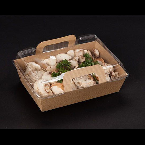 Lunch box Vision+ 500 ml - 11.6x11.6x3.95 cm (146102) (1 X 200 units)