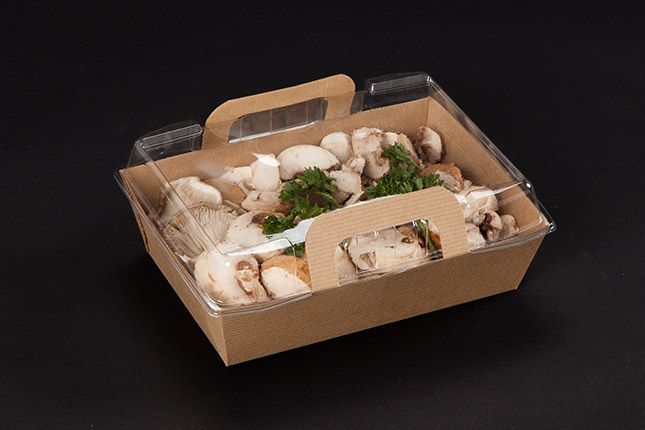 Lunch box Vision+ 500 ml - 11.6x11.6x3.95 cm (146102) (1 X 200 units)