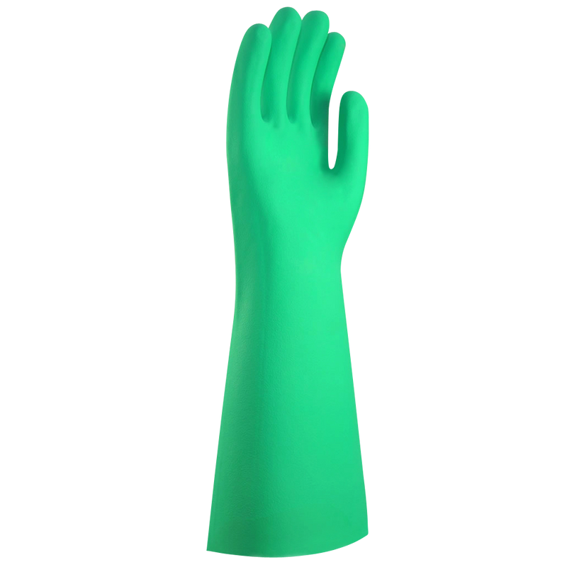 342183 - gant plonge nitrile vert t l  sachet de 12 (1 x 12 unités )