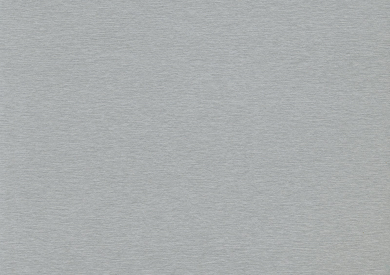 Plateau Ø 60 cm - Brushed silver - Classic Line (2 X 1 unité )