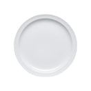 050167 - Assiette plate - Porcelaine Ø 23 cm - Myrtille (12 X 1 unité )