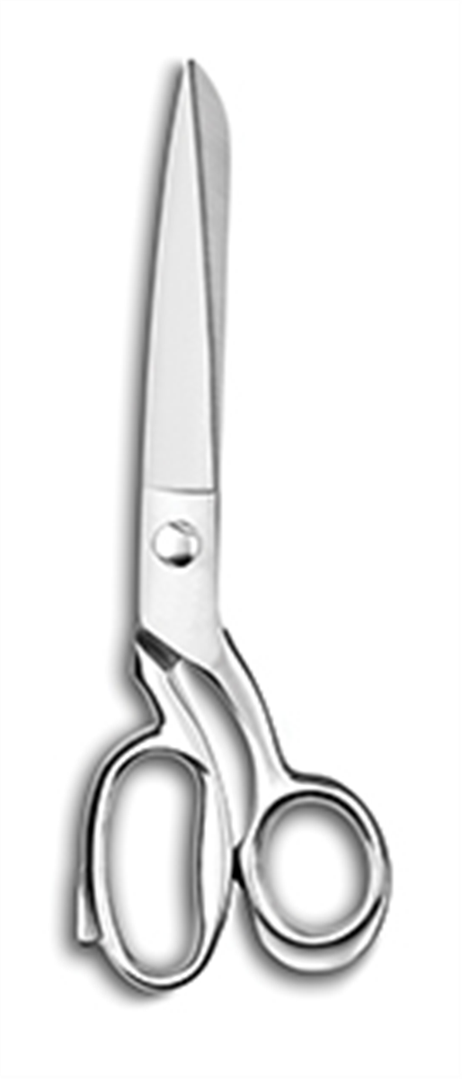 Ciseaux à poisson 24 cm - Inox ( 096023 ) (1 X 1 unité )