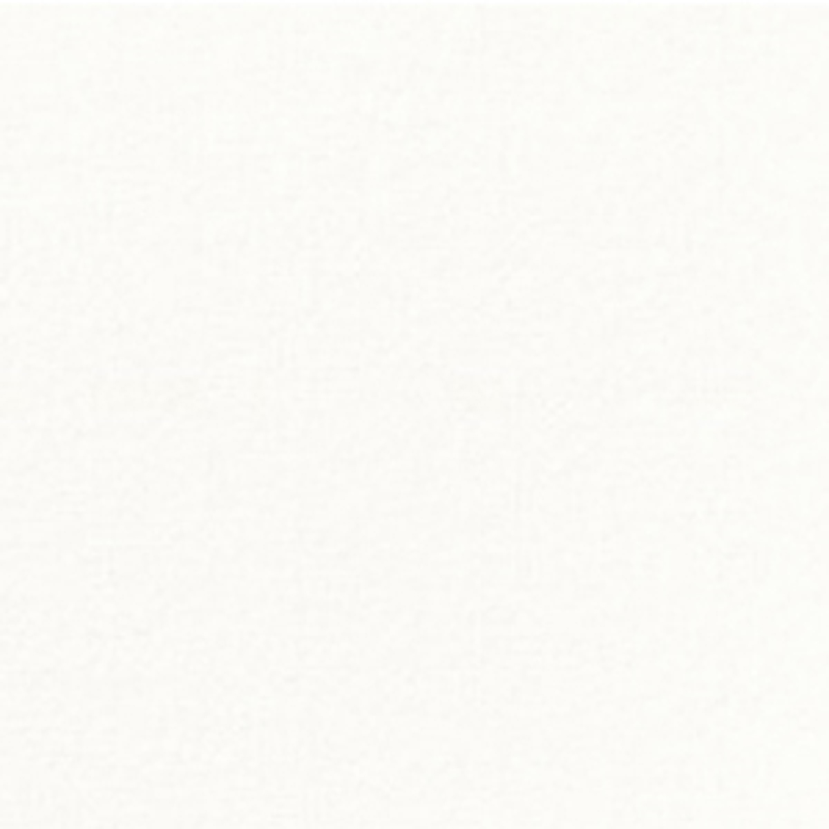 Napkin 40x40 cm - White (158906) (6 X 60 units)