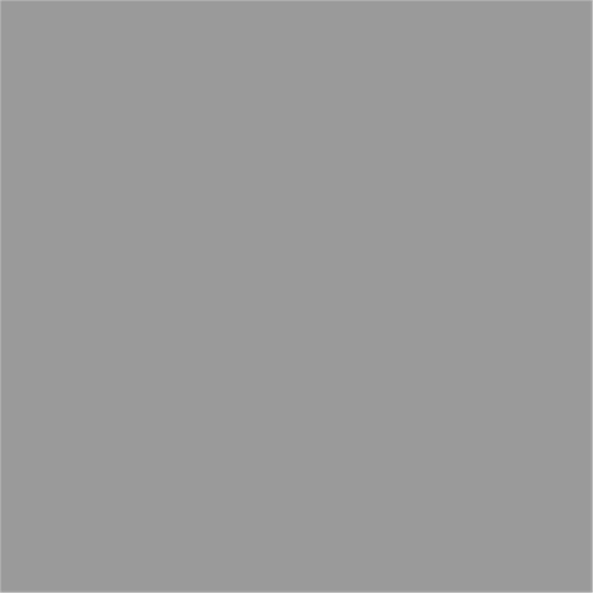 Napkin 40x40 cm 2-ply - Smooth wadding - Grey ( 159104 ) (10 X 125 units )