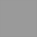 Serviette 40x40 cm 2 plis - Ouate lisse - Gris (10 X 125 unités ) - 159104
