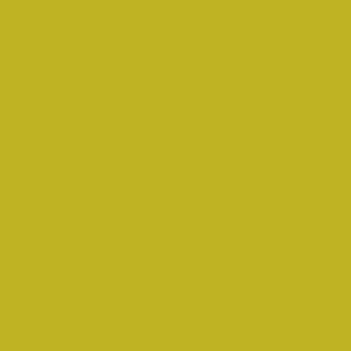 Napkin 40x40 cm 2-ply - Smooth wadding - Kiwi ( 158902 ) (10 X 125 units )