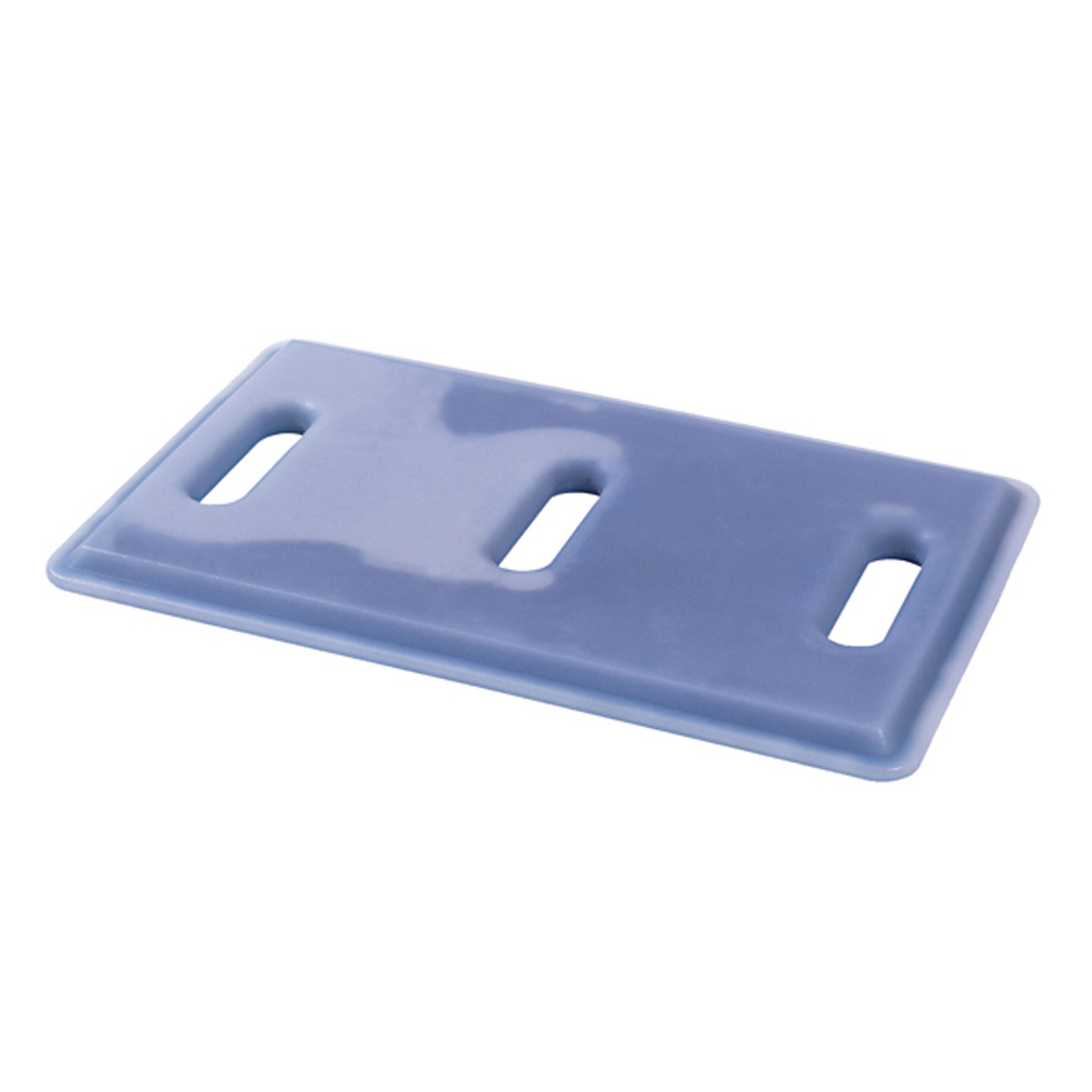 Eutectic plate GN1/1 - Frozen ( 980865 ) (1 X 1 unit )
