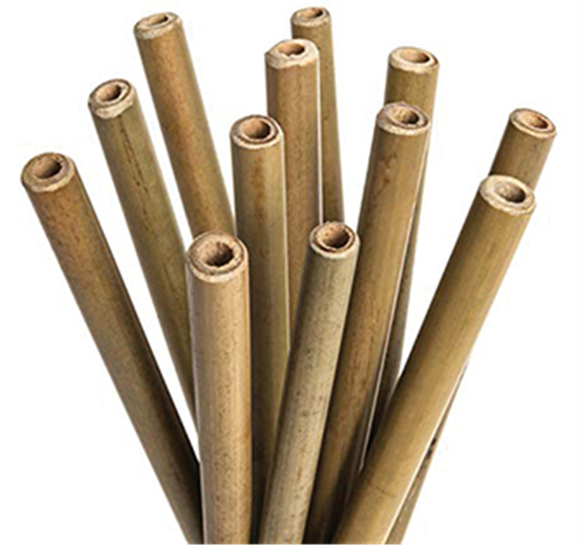 Boîte de 24 pailles bambou ø 10/12 mm  ( 989252 ) (1 X 24 unités )
