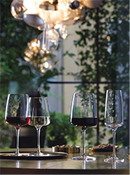 Verre à pied 45 cl - Nexo (24 X 1 unité ) - 033131