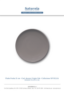 Assiette plate - Porcelaine ø21 cm -Séville couleur (12 X 1 unité ) - 630412