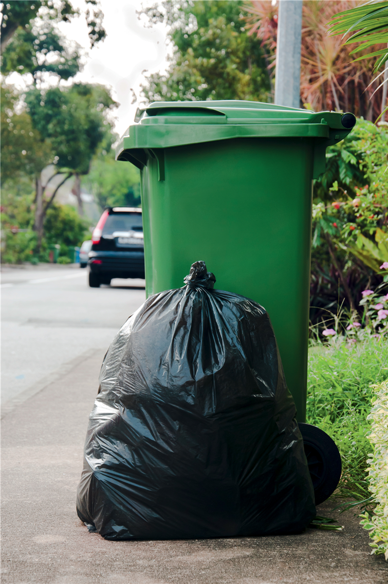 110L Bin bag - High density - Black 70x108cm (006610) (1 X 500 units)